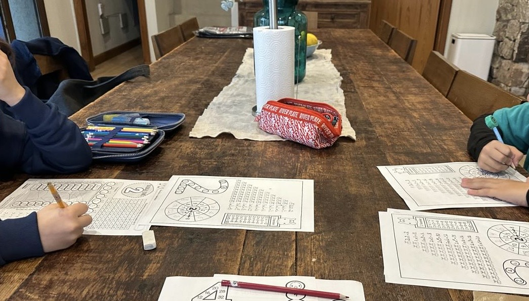 Maestra de apoyo para inclusión escolar