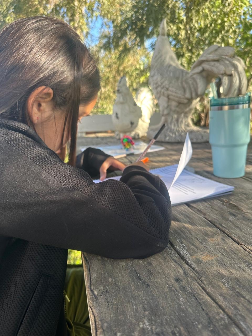 Enseñanza personalizada a domicilio